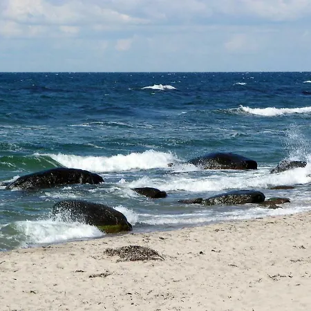 Modern Cedar Near - By Traum