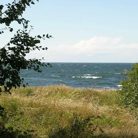 Modern Cedar Near - By Traum * Hasle