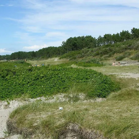 Modern Cedar Near - By Traum